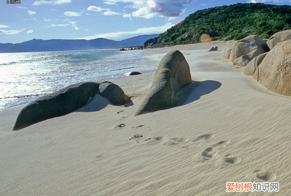如何查看电脑的型号,如何查看我的电脑机器型号和机身序列号