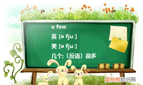 few可数,a few后加可数名词单数还是复数
