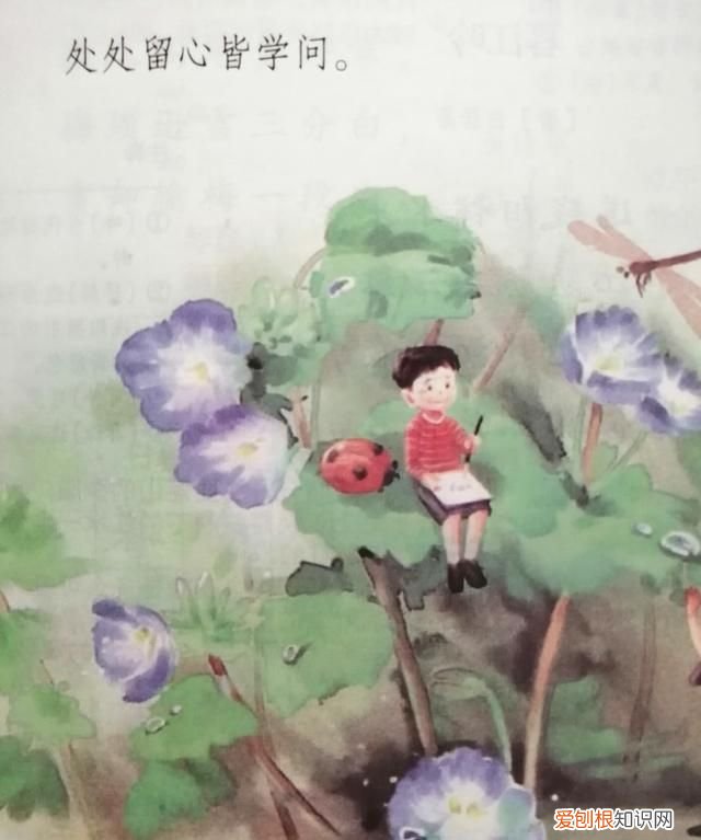 四年级语文上册《日积月累》注解整理，假期可提前预习理解背诵