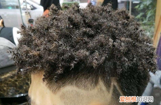 黑人烫怎么打理，黑人烫脏辫怎么洗头