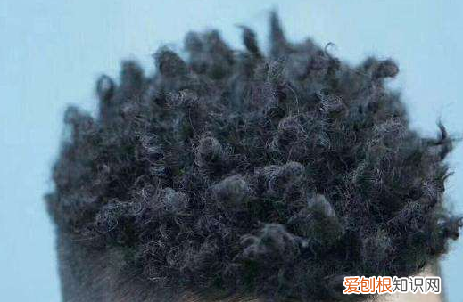 黑人烫怎么打理，黑人烫脏辫怎么洗头