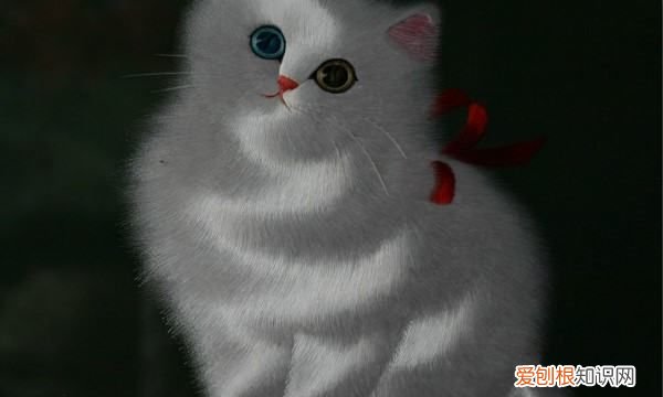 两种图形怎么绣制,如何diy手工绣花图案方法图解视频