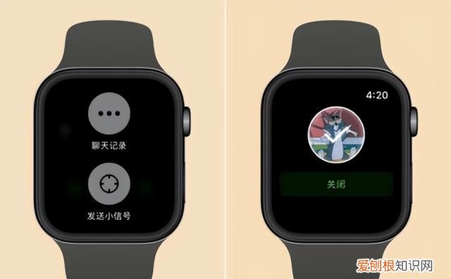 apple watch 常用功能
