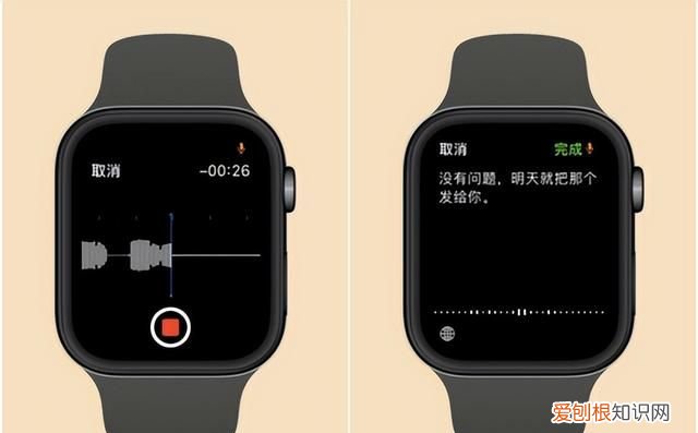 apple watch 常用功能