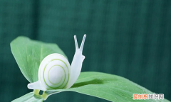 世界上最多牙齿最多的动物是什么