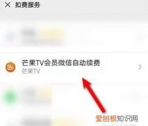 芒果9元续费怎么取消