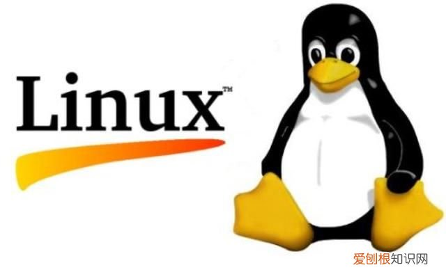 wps和office的区别是什么