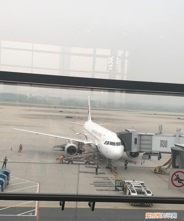 短途商务座有免费餐吗,哪家航司经济舱最好