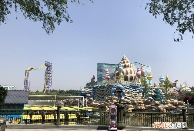 短途商务座有免费餐吗,哪家航司经济舱最好