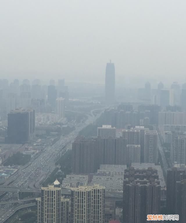 短途商务座有免费餐吗,哪家航司经济舱最好