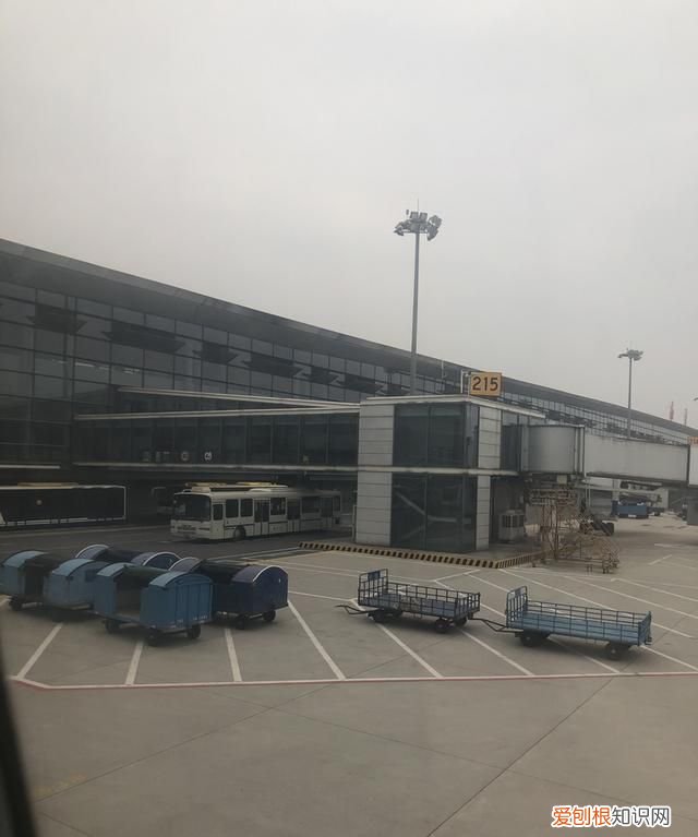 短途商务座有免费餐吗,哪家航司经济舱最好