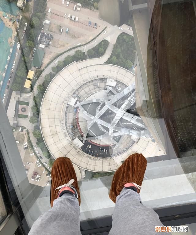 短途商务座有免费餐吗,哪家航司经济舱最好