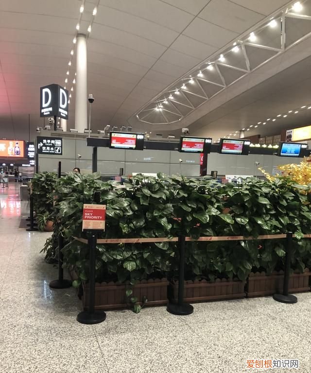 短途商务座有免费餐吗,哪家航司经济舱最好