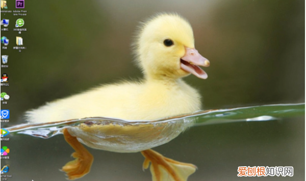 文本文件怎么建立,电脑怎么快速创建文本文档