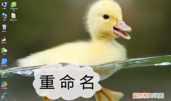 文本文件怎么建立,电脑怎么快速创建文本文档