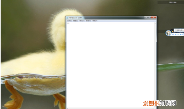 文本文件怎么建立,电脑怎么快速创建文本文档