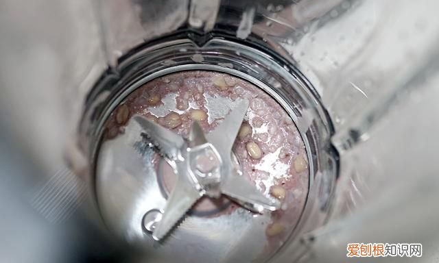 破壁机选购指南教你买对破壁机