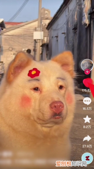 抖音里喜欢的作品怎么删除，抖音里喜欢的作品应该如何删除