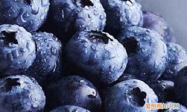 冬天蓝莓可以放多久，蓝莓不放冰箱可以放多久