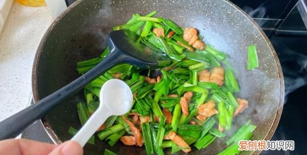 家常蒜苗烧肉做法,蒜苗烧肉怎么烧好吃窍门视频