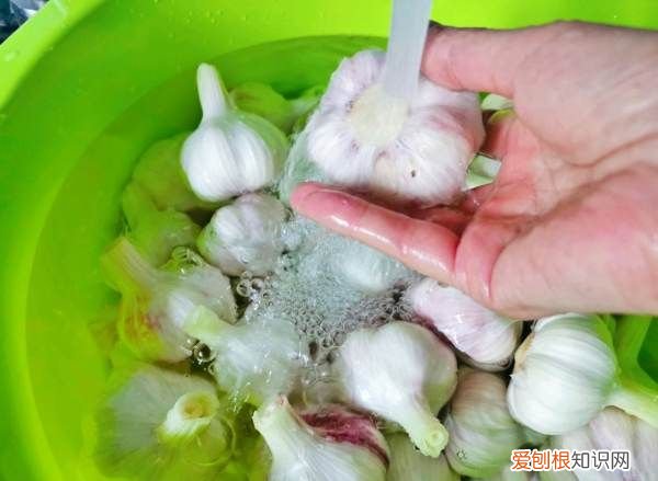 水晶糖蒜怎么腌制，家常水晶糖蒜瓣的腌制法