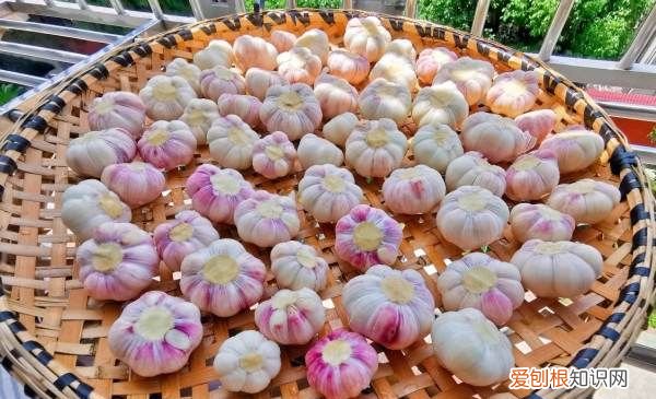 水晶糖蒜怎么腌制，家常水晶糖蒜瓣的腌制法