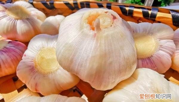 水晶糖蒜怎么腌制，家常水晶糖蒜瓣的腌制法