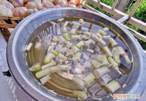 水晶糖蒜怎么腌制，家常水晶糖蒜瓣的腌制法