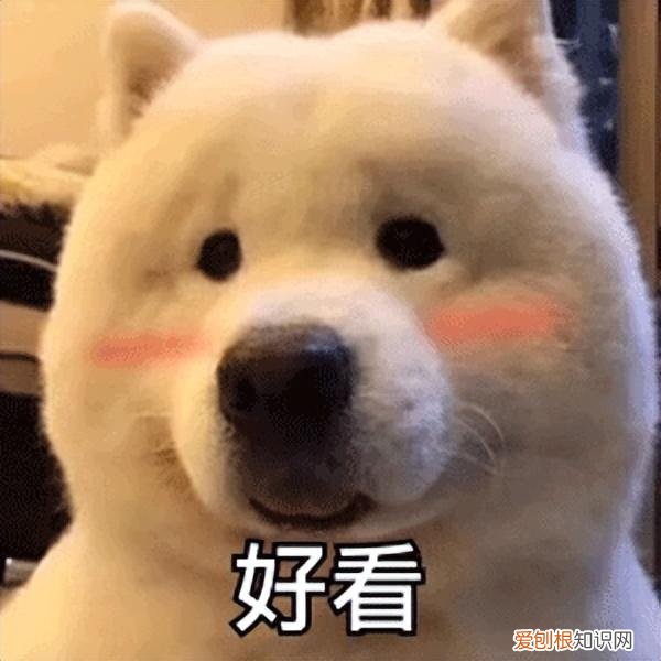 接头发多少钱( 女子吐槽:还不如不接!店方:不接受退款!)