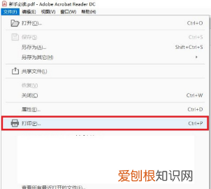 PDF打印机是如何使用的,pdf打印机主要功能有哪些内容