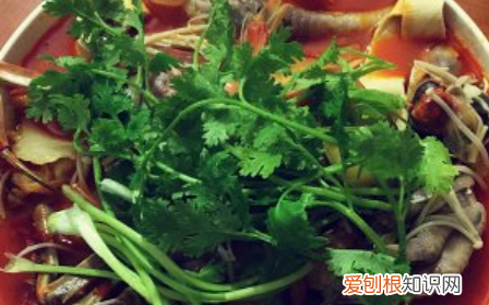 虾蟹一锅鲜的做法，虾蟹火锅怎么做好吃