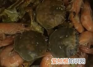 虾蟹一锅鲜的做法,虾蟹火锅怎么做好吃