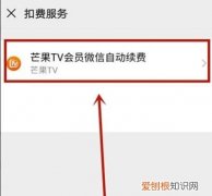 芒果tv怎么关闭自动续费苹果支付的