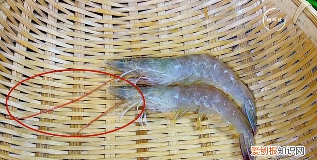 煮大虾时,不能直接加水煮!教您一妙招,虾肉鲜嫩又入味,太香了