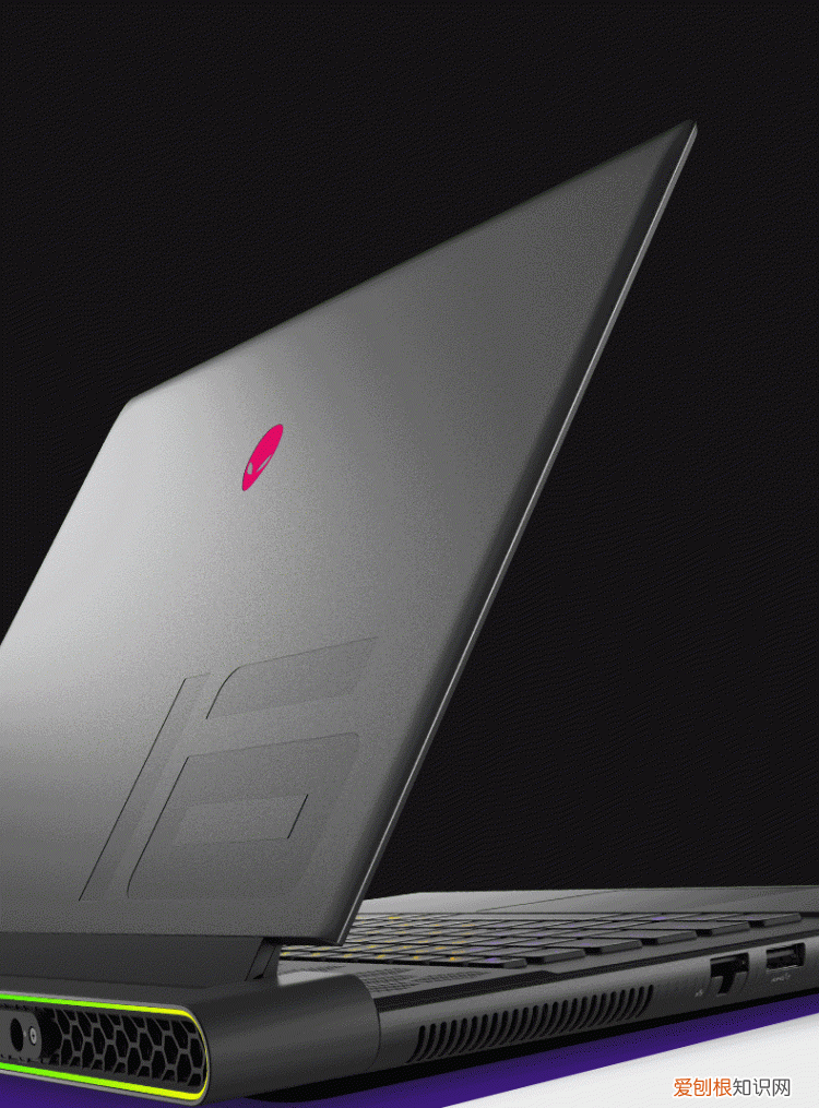 森林之子哪里可以玩