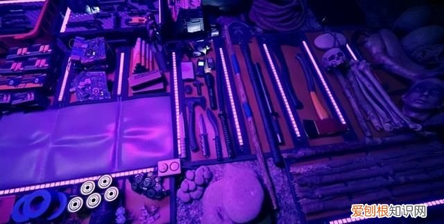 森林之子哪里可以玩