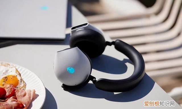 森林之子哪里可以玩