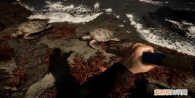 森林之子哪里可以玩