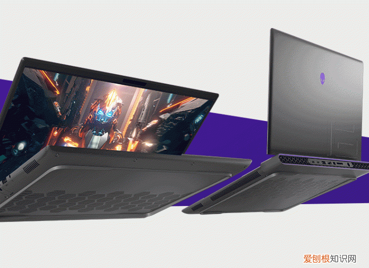 森林之子哪里可以玩