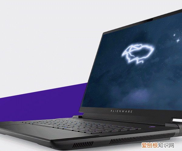 森林之子哪里可以玩