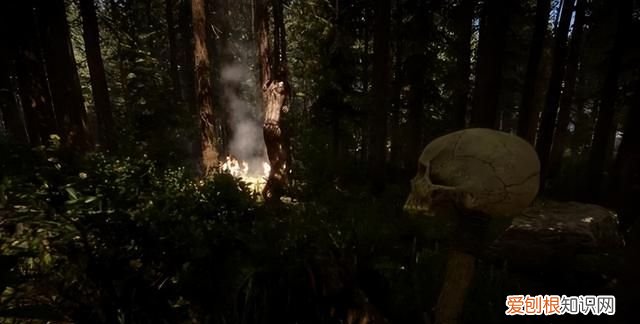 森林之子哪里可以玩