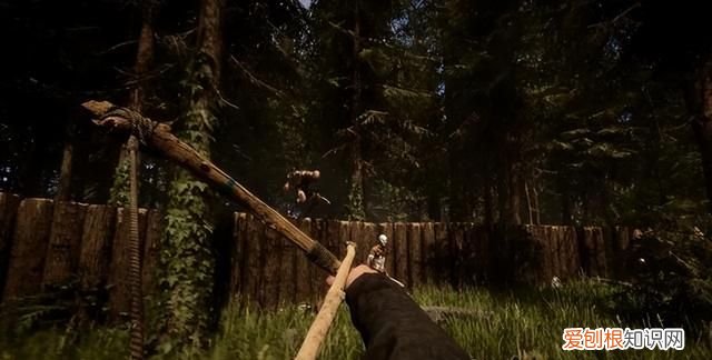 森林之子哪里可以玩