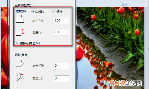 画图工具怎么调整图片大小,画图工具需要咋的才可以调整大小
