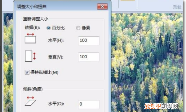 画图工具怎么调整图片大小,画图工具需要咋的才可以调整大小