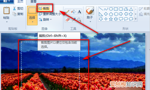 画图工具怎么调整图片大小，画图工具需要咋的才可以调整大小