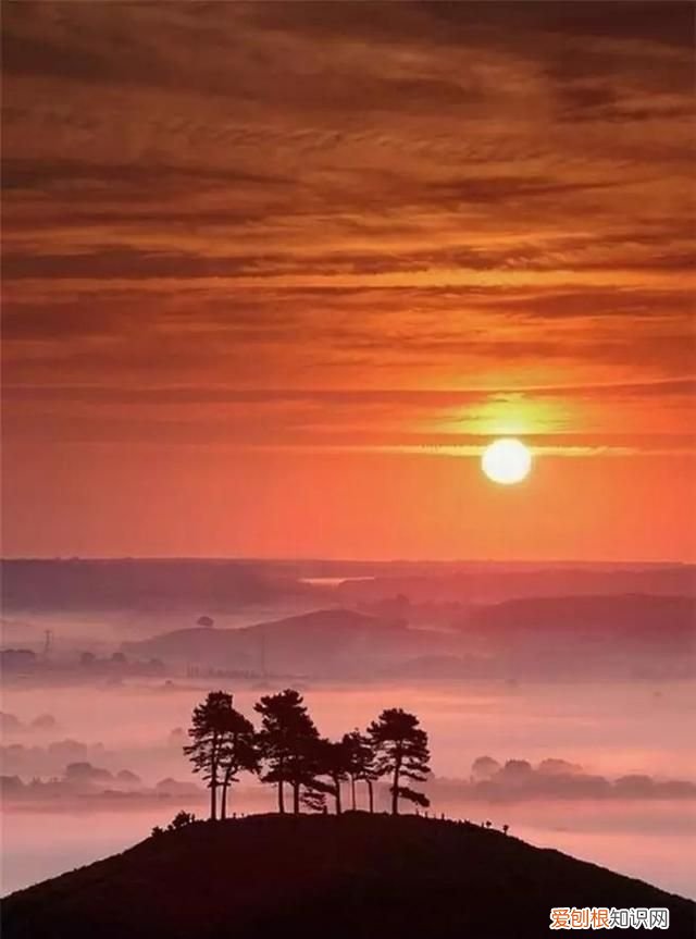 如何拒收微信转账,有人问你要微信号如何礼貌拒绝