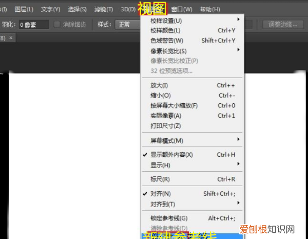 PS需要怎么才能拉参考线，ps参考线如何调出固定尺寸