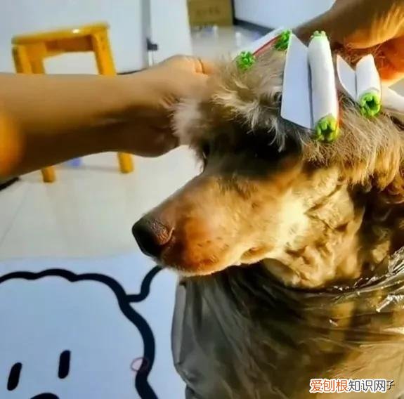 直发膏对头发伤害大吗