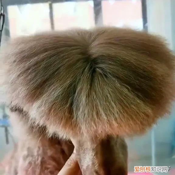 直发膏对头发伤害大吗