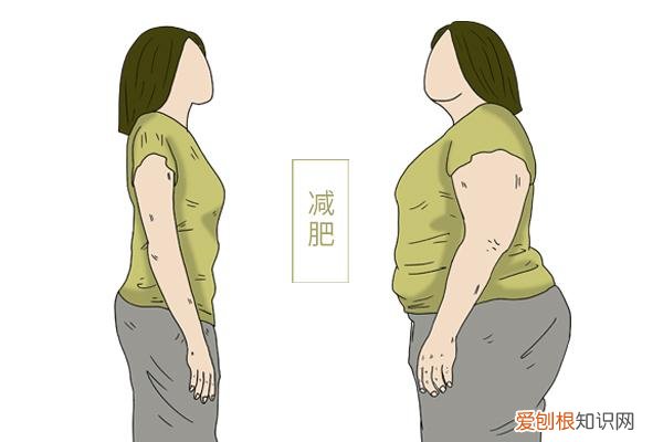 标准身材计算公式